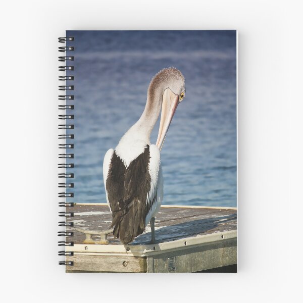 Item preview, Pelican beauty 9000 designed and sold by kevin Chippindall.