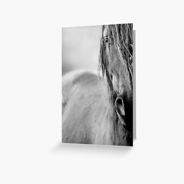 Item preview, Horse designed and sold by Tomáš Hudolin.
