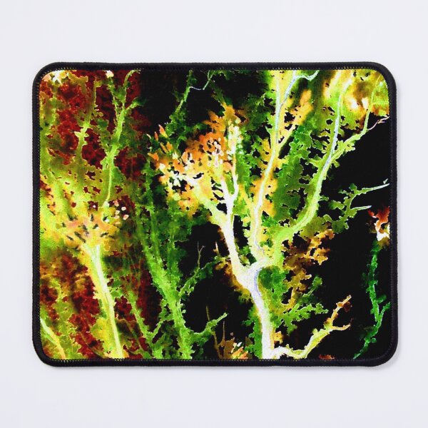 Item preview, The Spirit of Trees designed and sold by Linda Callaghan.
