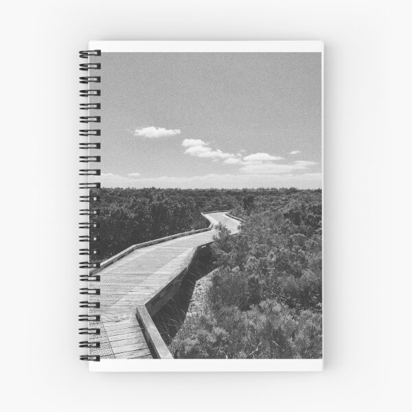 Item preview, Rhyll Mangrove Boardwalk designed and sold by EimearMac.