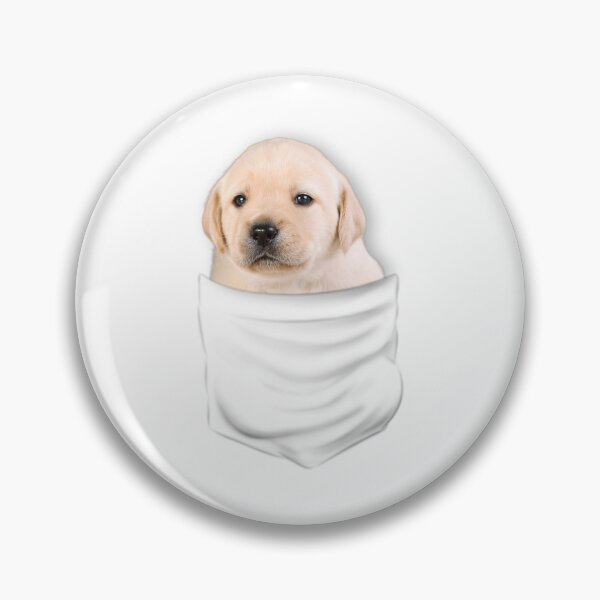 Item preview, (For Bright Background) Labrador In Pocket designed and sold by More Cute Dogs.