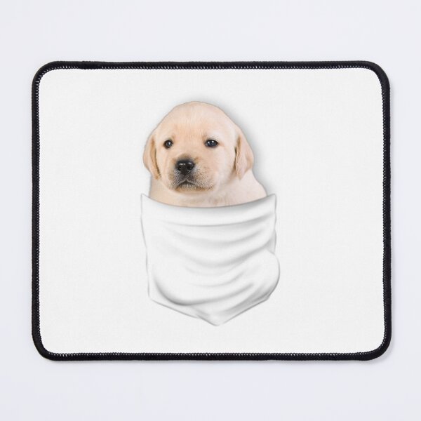 Item preview, (For Bright Background) Labrador In Pocket designed and sold by More Cute Dogs.