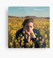 Cole Sprouse Metal Print