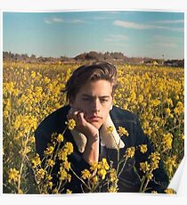Cole Sprouse Poster