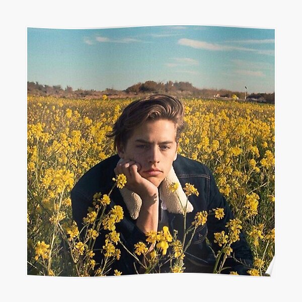Cole Sprouse Poster