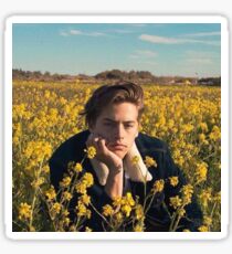 Cole Sprouse Sticker