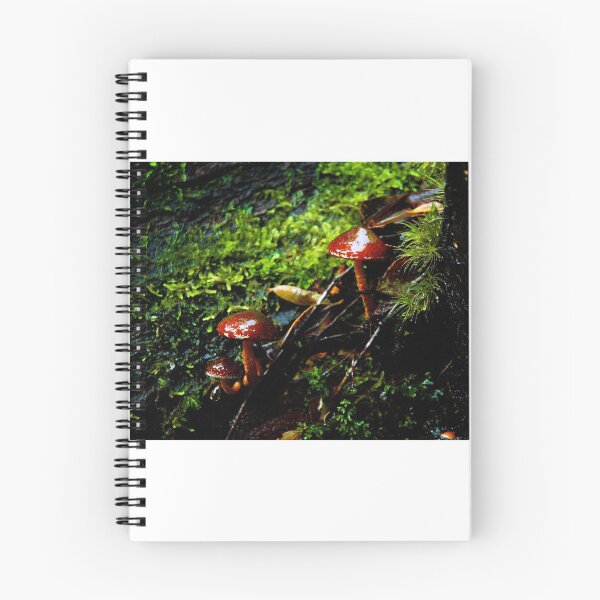 Item preview, Tarkine Fungi 2 designed and sold by Andrew Smyth.