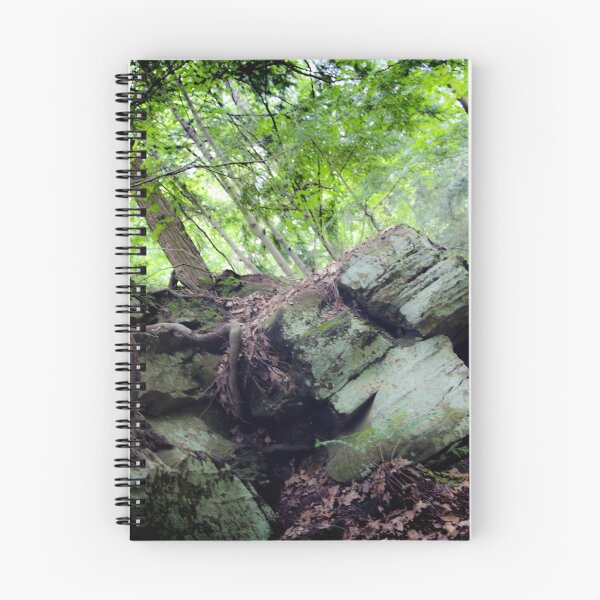 Item preview, Grand Ledge designed and sold by cwolfeimaging.