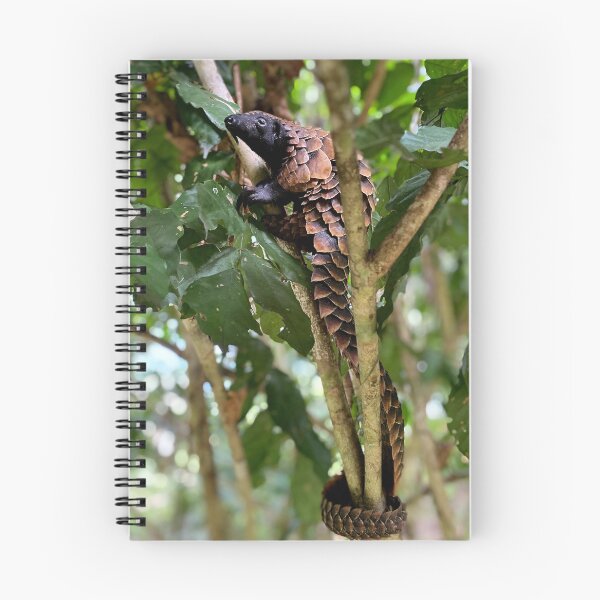 Item preview, Black-Bellied Pangolin Climbing designed and sold by Alon-Cassidy.