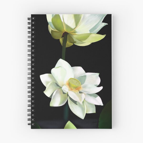 Item preview, White Lotus Drawing designed and sold by DonnaKBrowning.