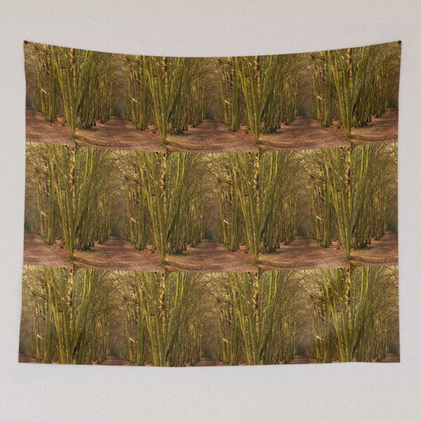 Item preview, Mysterious Path designed and sold by Vicki Spindler (VHS Photography).