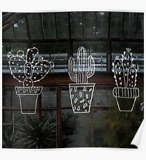Wacky Cactus Poster