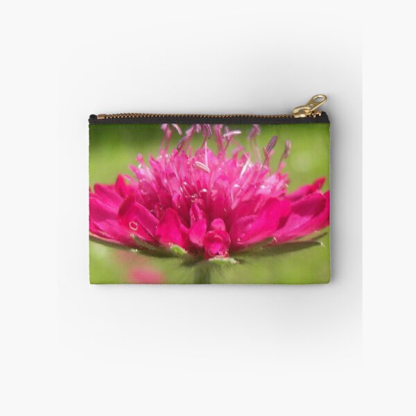 Item preview, Scabiosa ~ Greater Knapweed designed and sold by angel1.