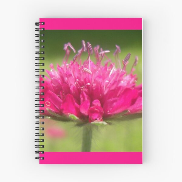 Item preview, Scabiosa ~ Greater Knapweed designed and sold by angel1.