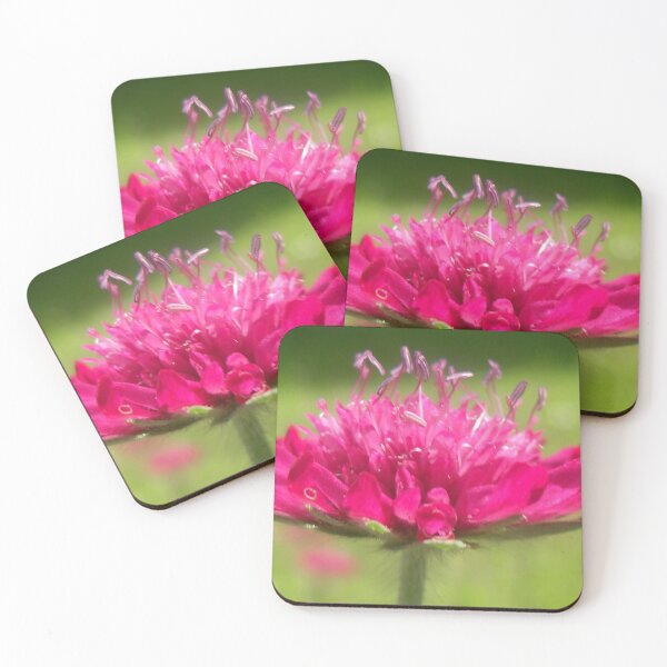 Item preview, Scabiosa ~ Greater Knapweed designed and sold by angel1.