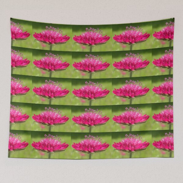 Item preview, Scabiosa ~ Greater Knapweed designed and sold by angel1.