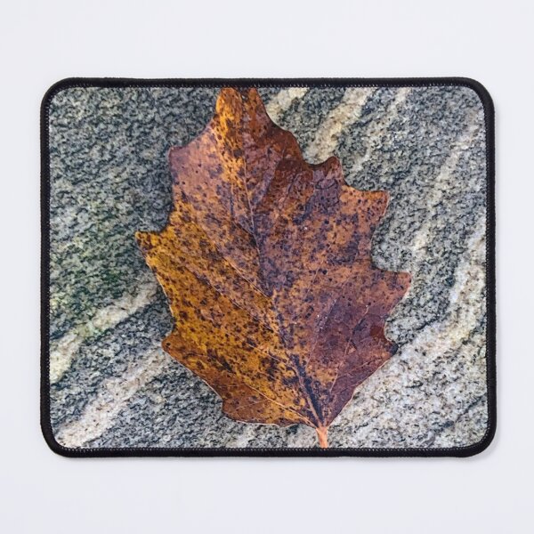 Item preview, leaf  fall season design designed and sold by Marco Varrone.