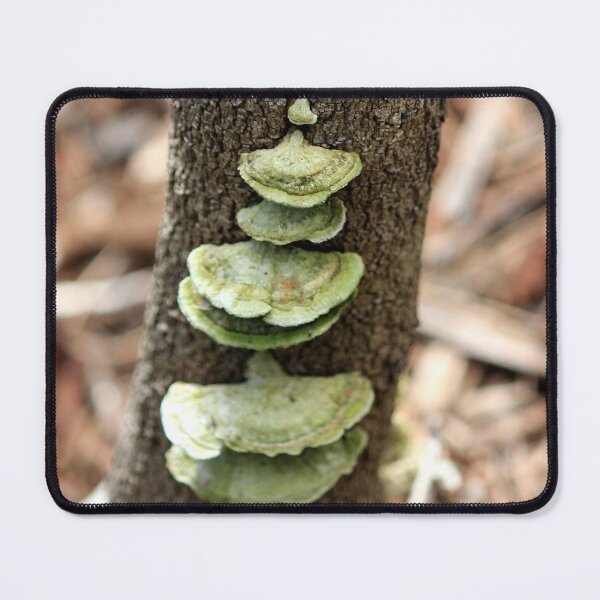 Item preview, Green Fungii designed and sold by KazM.