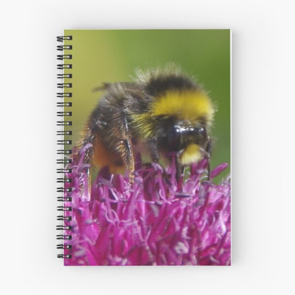 Item preview, Bumble Bee On Allium Flower designed and sold by lezvee.