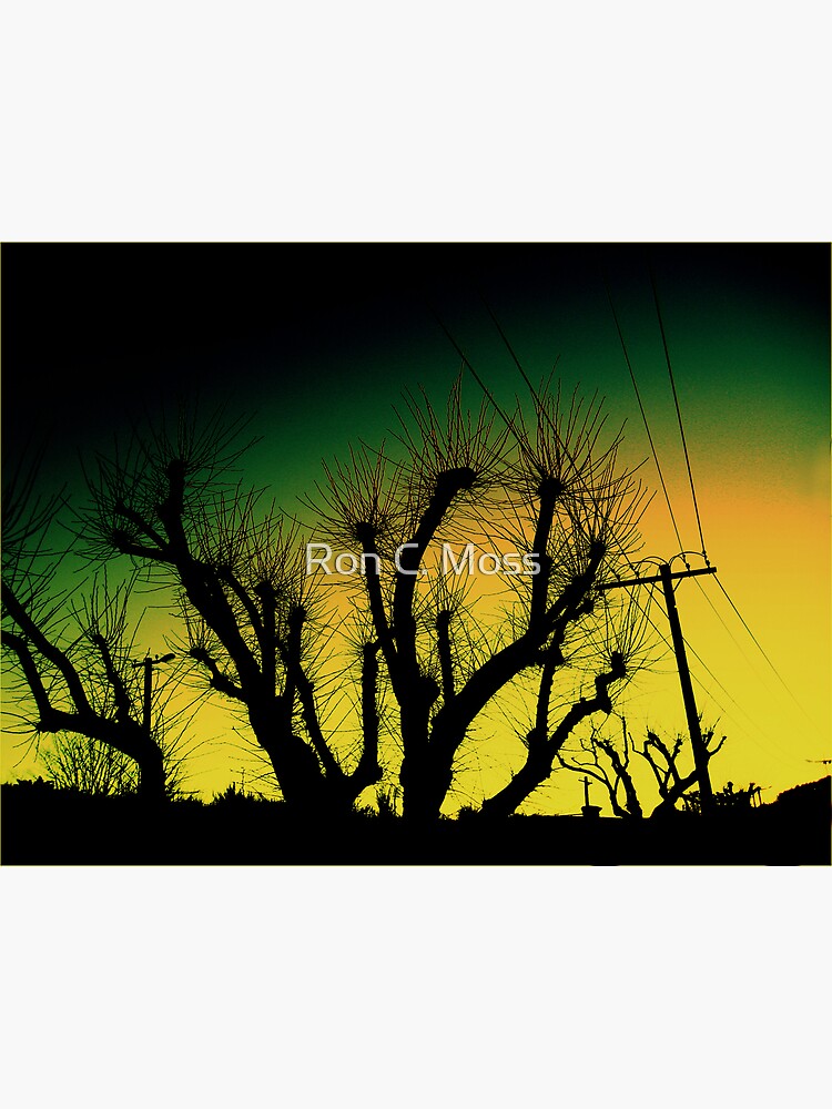 Wired Sunset by ronmoss