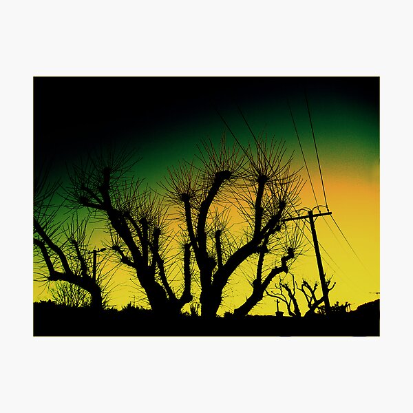 Wired Sunset Photographic Print