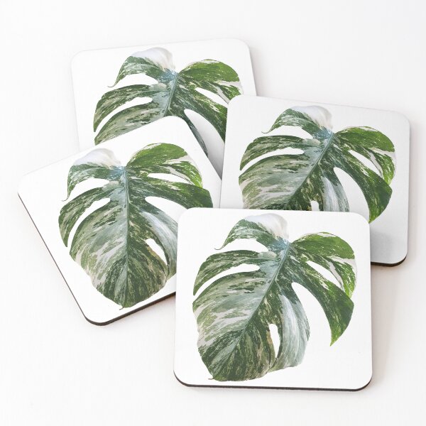 Item preview, Variegated Monstera Albo leaf designed and sold by CheekyGermanShop.