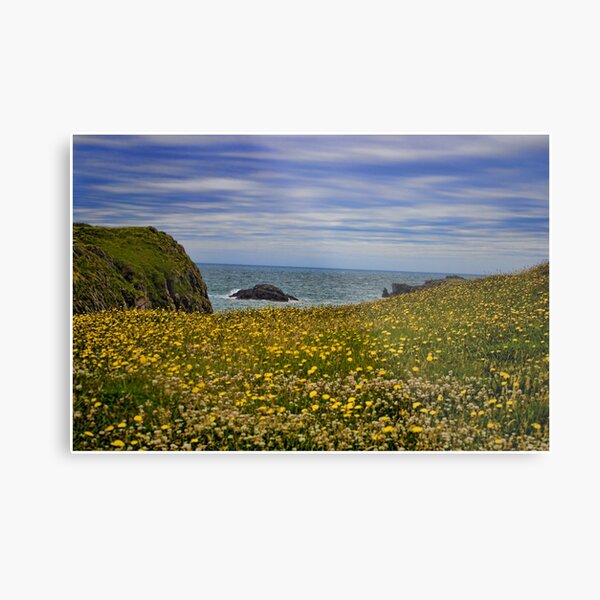 Anglesey coastline Metal Print