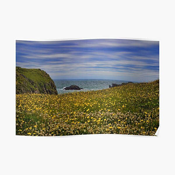 Anglesey coastline Poster