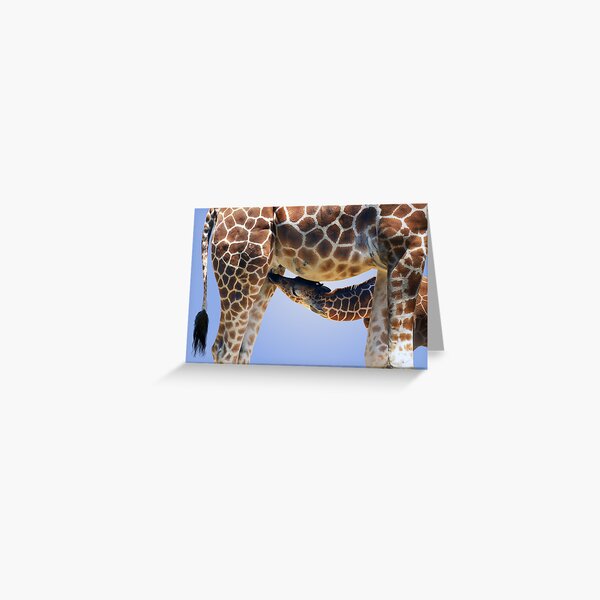 Item preview, NURSING GIRAFFE designed and sold by Michael Sheridan.
