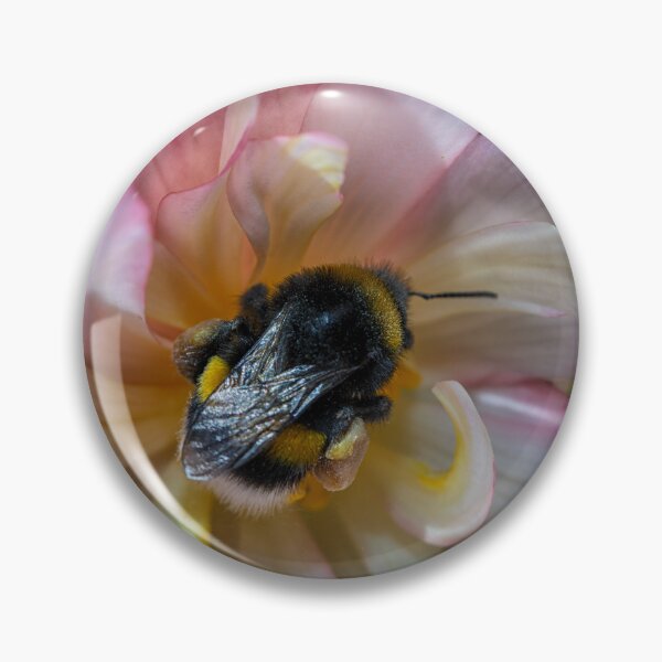 Item preview, Bee in flower designed and sold by Photopat.