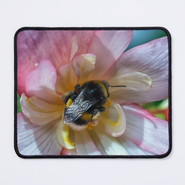 Item preview, Bee in flower designed and sold by Photopat.