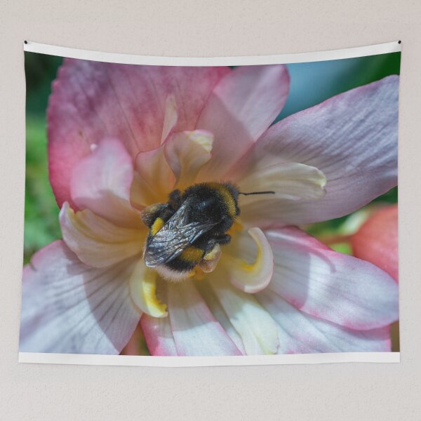 Item preview, Bee in flower designed and sold by Photopat.