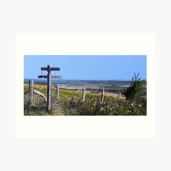Along The South Downs Way Art Print