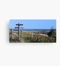 Along The South Downs Way Canvas Print