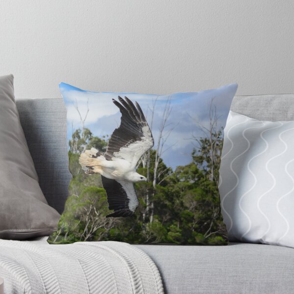 Item preview, Sea-Eagle Swoop. designed and sold by James Peake Nature Photography..