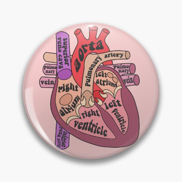 Item preview, Anatomical heart designed and sold by Preslava Genova.