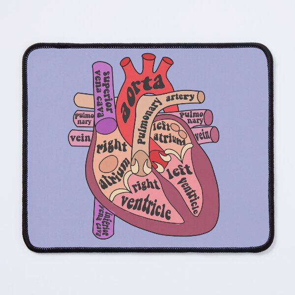 Item preview, Anatomical heart designed and sold by Preslava Genova.