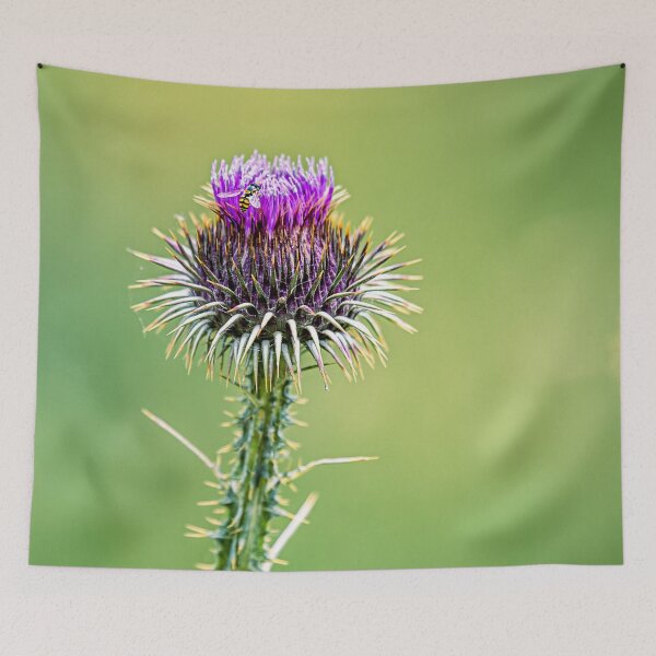 Item preview, Bee on a Scottish thistle designed and sold by Teniche.