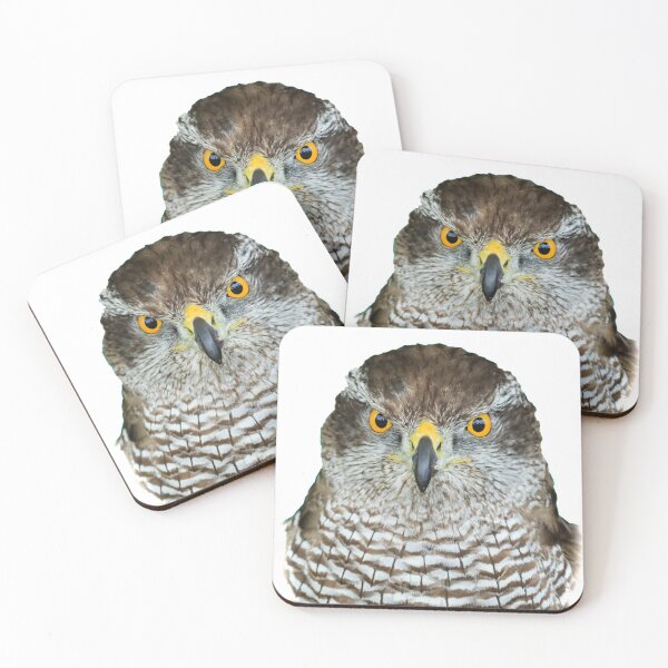 Item preview, Eyes of a Goshawk designed and sold by Dalyndigital Photography.