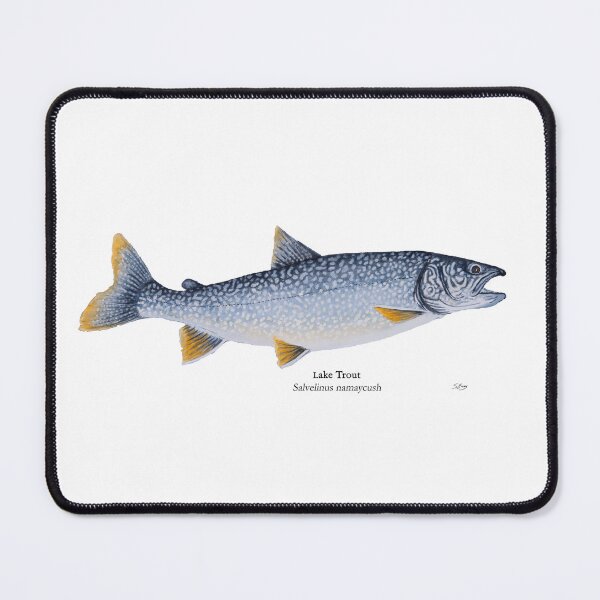 Item preview, Redfin Lake Trout designed and sold by Stephen Emms.