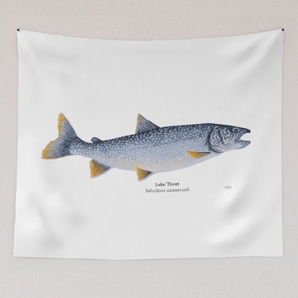 Item preview, Redfin Lake Trout designed and sold by Stephen Emms.