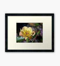 Tint Framed Print