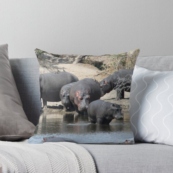 Item preview, Time to get back in the water! designed and sold by Anthony Goldman.