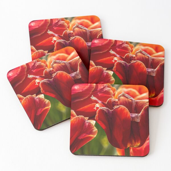 Item preview, Red tulips at spring designed and sold by Teniche.