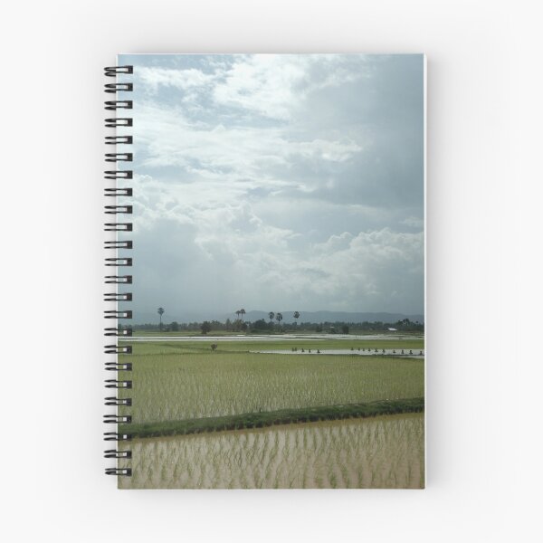 Item preview, Cambodian paddy fields designed and sold by C Rose.