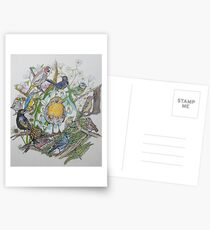 British Birds Postcards