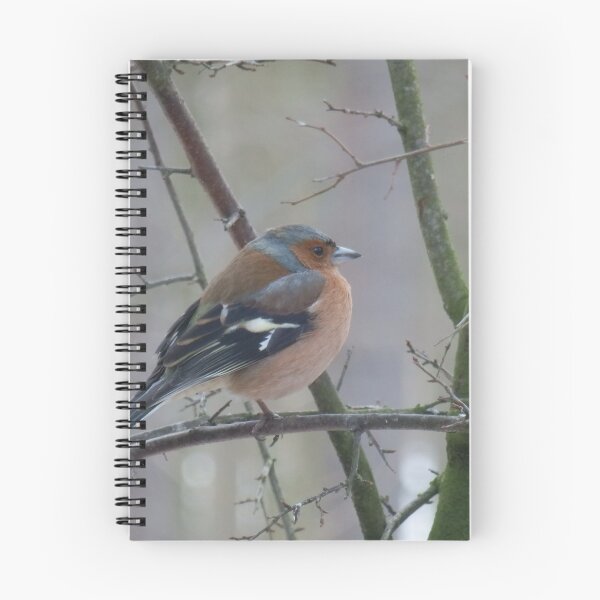 Item preview, Chaffinch designed and sold by C Rose.