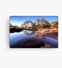 Ancient waterhole Canvas Print