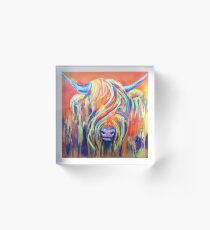 Highland Coo Acrylic Block