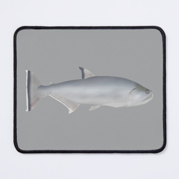 Item preview, Payara designed and sold by fishfolkart.